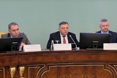В Смольном обсудили домашнее насилие и профилактику дистанционных краж