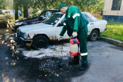 Более 350 сообщений от жителей поступило в экологические службы за неделю