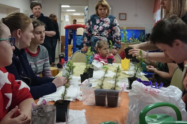 В Центре социальной реабилитации посадили саженцы елочек