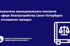 Результаты муниципального контроля в сфере благоустройства Санкт‑Петербурга в отношении граждан