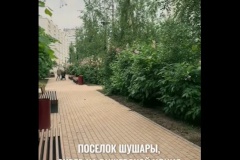 Проект «Формирование комфортной городской среды» с каждым годом делает наш район удобнее, красивее и современнее. Так, в 2024 году в посёлке Шушары благоустроили сквер 70-летия Победы в Великой Отечественной войне.
