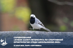В Петербурге пройдут орнитологические соревнования для школьников