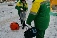 Более 3,6 тонн опасных отходов собрано экологическими службами за неделю