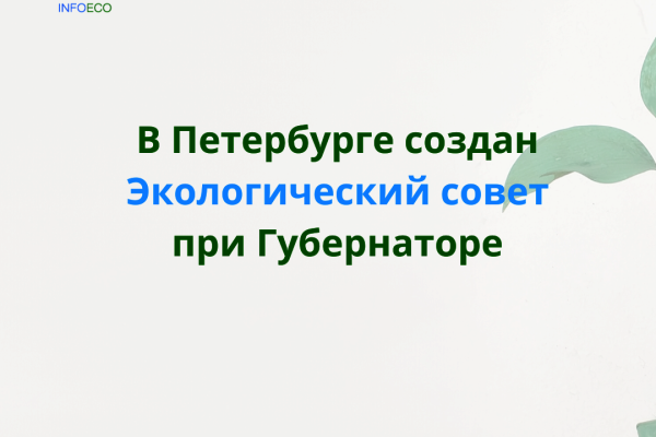 В Петербурге создан Экологический совет при Губернаторе