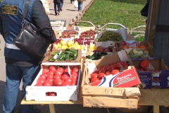 У метро «Гражданский проспект» продолжается борьба с нелегальной торговлей
