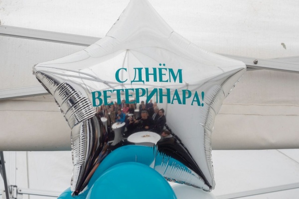 Открытие после реконструкции ветеринарной клиники в Ломоносове