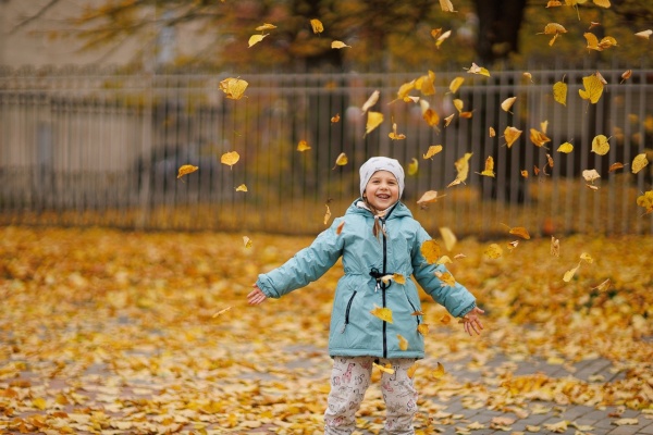 29 октября в Петербурге пройдет Добрый субботник