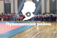 В спортивной школе олимпийского резерва Пушкинского района подвели итоги спортивного сезона-2024, а также прошло традиционное чествование лучших воспитанников и тренеров-преподавателей