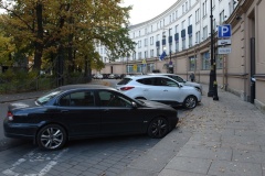 Электромобили в Петербурге можно парковать бесплатно