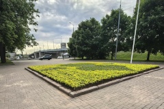 Неделя развития городских территорий в Невском районе: зелёные территории как основа комфорта
