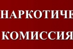 В администрации Невского района Санкт‑Петербурга состоялось совместное расширенное заседание антинаркотической комиссии в Невском районе Санкт‑Петербурга и комиссии по делам несовершеннолетних и защите их прав при администрации Невского района Санкт‑Петербурга
