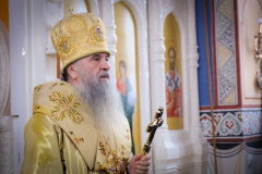 Во Фрунзенском районе Санкт‑Петербурга состоялось освящение храма Святителя Николая Чудотворца