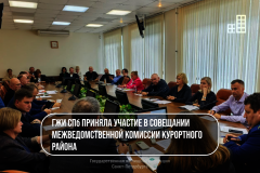 Государственная жилищная инспекция Санкт‑Петербурга приняла участие в совещании межведомственной комиссии Курортного района