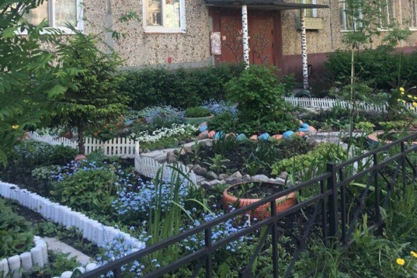 Жители Невского района заботятся о благоустройстве своих дворов