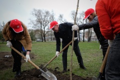 В Исфаханском сквере высадили сирень, клен и фарзиции