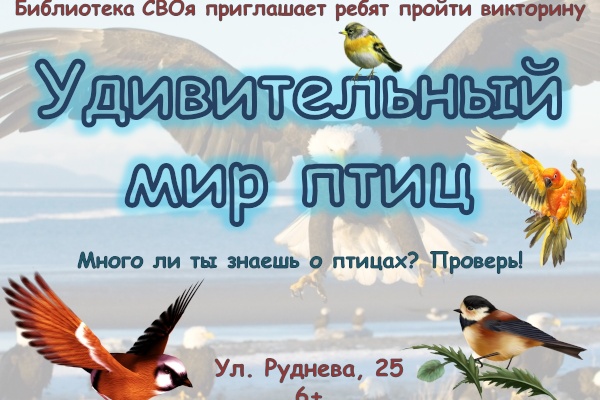 Путешествие в удивительный мир птиц