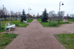 В Невском районе завершены работы по восстановлению зеленых насаждений