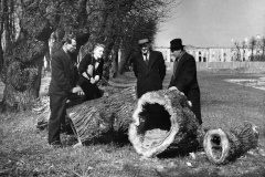 Исполнилось 100 лет подразделению КГИОП, занимающемуся сохранением ландшафтной архитектуры