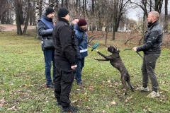 Выгул не по правилам: в Таврическом саду привлекли к ответственности владельцев собак