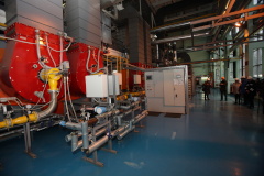 В Петродворцовом районе работают "горячие линии" по вопросам отопления