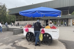 В Выборгском районе пресечена незаконная торговля у станции метро «Лесная»