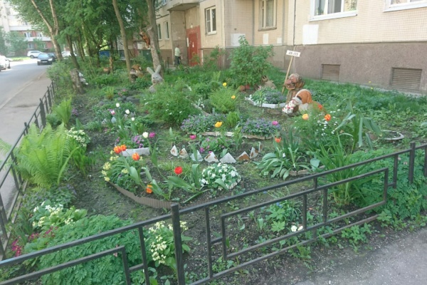 Активные жители Невского района высаживают цветы на придомовых клумбах