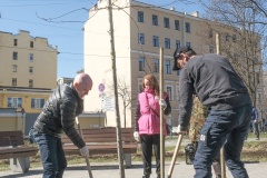Посадка дуба в честь празднования 350-летия со дня рождения Петра I прошла во Фрунзенском районе