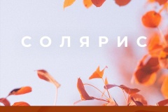 Экопроект «Солярис». Как в Красногвардейском формируют экологичное мировосприятие у молодёжи?