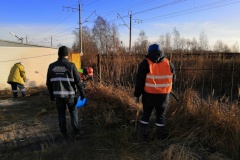 Освобождена территория общей площадью более 25 тыс. квадратных метров: земельные участки незаконно использовались под размещение автостоянок
