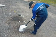 Свыше 40 тонн опасных отходов собрали экологические службы за неделю