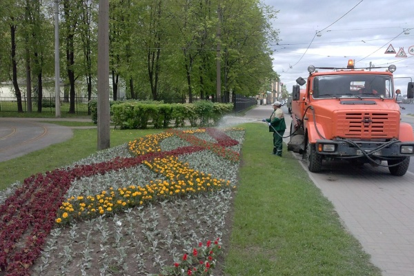 В Невском районе продолжаются работы по озеленению
