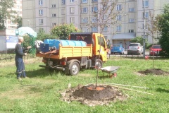 Начались работы по благоустройству сквера у метро «Проспект Ветеранов»