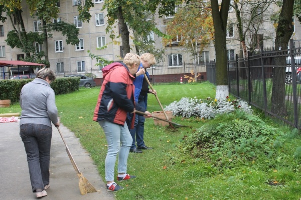 Сотрудники центра «Альмус» приняли участие в осеннем месячнике благоустройства