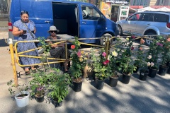 За прошлую неделю незаконная торговля пресечена по двум адресам в Ломоносове