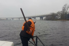 Почти 58 тонн опасных отходов собрали экологические службы за неделю