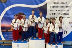 На соревнованиях по тхэквондо ВТФ ПХУМСЭ «Кубок Авроры» спортсмены Пушкинского района заняли призовые места