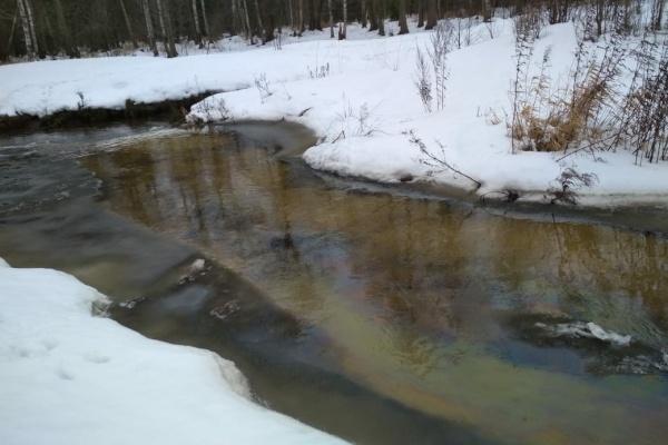 Экологические аварийные службы за неделю собрали почти 1500 ртутных ламп