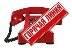 Начала функционировать "горячая линия" по защите прав потребителей