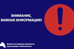 В связи с погодными условиями в Петербурге ряд профильных Комитетов работают в режиме повышенной готовности
