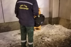 За неделю экологические аварийные службы получили более 200 обращений