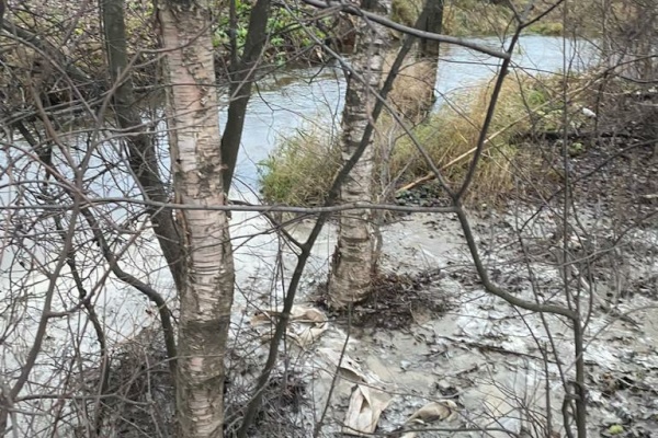 Бетонный завод вновь будет оштрафован за загрязнение Каменки