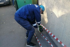 Свыше 37 тонн опасных отходов собрали экологические службы за неделю