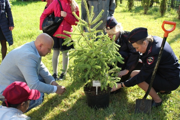 Сотрудники полиции Кировского района не остались в стороне от проекта «Лес Победы»