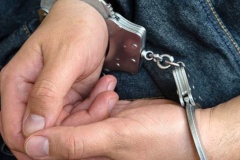 За незаконное складирование отходов в Невском районе задержан технический директор коммерческого предприятия по утилизации мусора