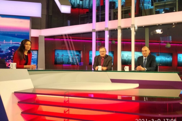 Вороны и голуби в городе: источник многочисленных проблем?