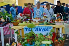 В Кронштадте прошел фестиваль «Праздник урожая «Две сотки»