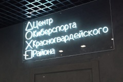 Первый государственный Центр киберспорта откроется в Петербурге в 2024 году.