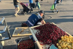 Мероприятия по ликвидации незаконной торговли с улиц Санкт‑Петербурга