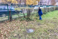 Школы и детские сады Фрунзенского района готовы к субботнику