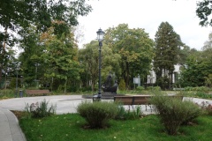 В Петербурге увеличится количество зеленых насаждений общего пользования
